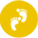 九游体育 发展历程